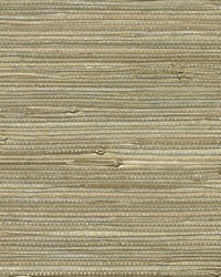 KRAVET DESIGN W3459 1611 W3459-1611 by  Kravet Wallcovering 