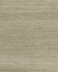 KRAVET DESIGN W3462 1611 W3462-1611 by  Kravet Wallcovering 