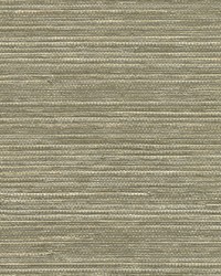 KRAVET DESIGN W3464 1611 W3464-1611 by  Kravet Wallcovering 