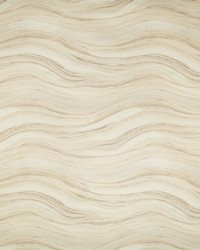 ENVISIONED P W3489 16 CHAMPAGNE by   