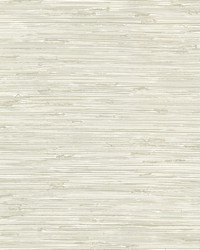 KRAVET DESIGN W3520 116 W3520-116 by  Kravet Wallcovering 
