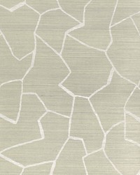 Kravet Couture W-bark Cloth-cloud W3573 11 by  Casner Fabrics 