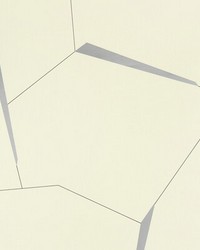 DIVERGENT W3575 11 PLATINUM by   