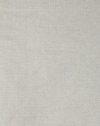 MUSE W3576 11 SILVER by   