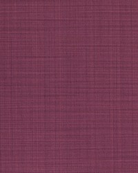 KRAVET DESIGN W3634 910 W3634-910 by  Kravet Wallcovering 