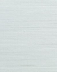 KRAVET DESIGN W3637 1116 W3637-1116 by  Kravet Wallcovering 