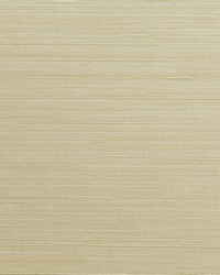 KRAVET DESIGN W3637 1614 W3637-1614 by  Kravet Wallcovering 