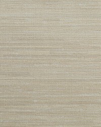 KRAVET DESIGN W3637 416 W3637-416 by  Kravet Wallcovering 