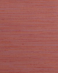 KRAVET DESIGN W3637 924 W3637-924 by  Kravet Wallcovering 