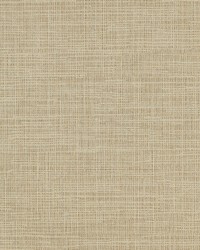 KRAVET DESIGN W3642 416 W3642-416 by  Kravet Wallcovering 