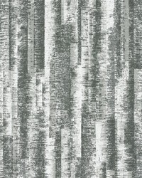 KRAVET DESIGN W3650 1101 W3650-1101 by  Kravet Wallcovering 