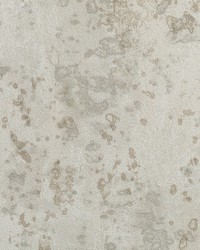 KRAVET DESIGN W3655 1614 W3655-1614 by  Kravet Wallcovering 