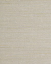KRAVET DESIGN W3659 1116 W3659-1116 by  Kravet Wallcovering 