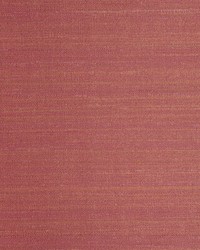 KRAVET DESIGN W3659 24 W3659-24 by  Kravet Wallcovering 