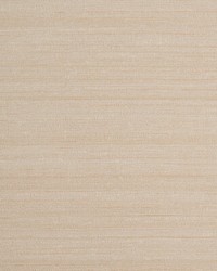 KRAVET DESIGN W3659 7 W3659-7 by  Kravet Wallcovering 