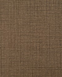 KRAVET DESIGN W3668 6 W3668-6 by  Kravet Wallcovering 