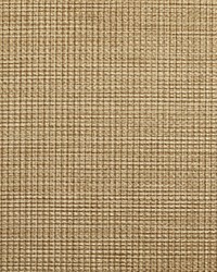 KRAVET DESIGN W3676 166 W3676-166 by  Kravet Wallcovering 