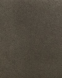 KRAVET DESIGN W3677 64 W3677-64 by  Kravet Wallcovering 