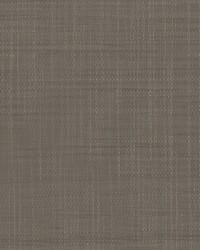 KRAVET DESIGN W3680 106 W3680-106 by  Kravet Wallcovering 