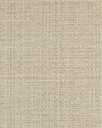 KRAVET DESIGN W3682 16 W3682-16 by  Kravet Wallcovering 