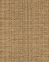 KRAVET DESIGN W3682 64 W3682-64 by  Kravet Wallcovering 
