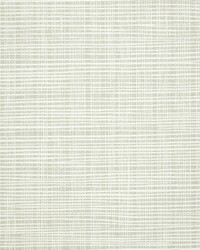 KRAVET DESIGN W3684 1116 W3684-1116 by  Kravet Wallcovering 