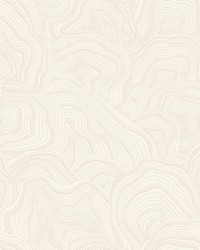 Kravet Design Wallpaper W3719-1 by  Mirage 