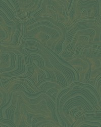 Kravet Design Wallpaper W3719-3 by  Mirage 