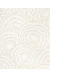 PANACHE WP W3823 16 NATURAL by   