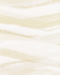 STRIATE WP W3827 161 CHAMPAGNE by   