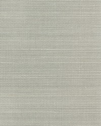 LUXE SISAL W3830 11 GREY by  Mitchell Michaels Fabrics 