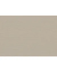 CANNETE WP W3855 11 by  Kravet Wallcovering 