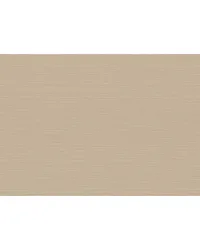 CANNETE WP W3855 117 by  Kravet Wallcovering 