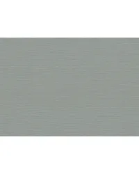 CANNETE WP W3855 15 by  Kravet Wallcovering 