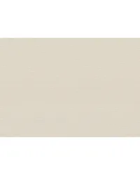 CANNETE WP W3855 1611 by  Kravet Wallcovering 
