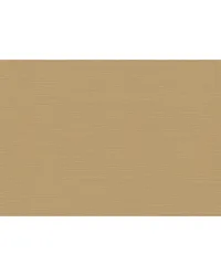 CANNETE WP W3855 166 by  Kravet Wallcovering 
