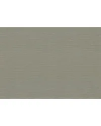 CANNETE WP W3855 635 by  Kravet Wallcovering 