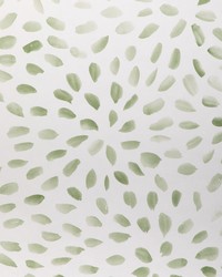 PETAL BLOSSOM WP W3885 30 SAGE by   