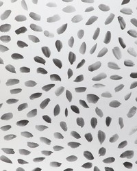 PETAL BLOSSOM WP W3885 8 ONYX by   