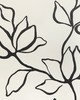 Kravet Wallcovering FLORAL SKETCH WP ONYX