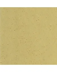 W3934 4 by  Kravet Wallcovering 