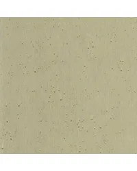 W3934 W3934 411 by  Kravet Wallcovering 