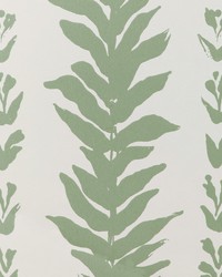 CLIMBING LEAVES WP W3937 30 SAGE by   