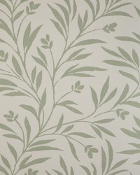 WISPY VINES WP W3939 31 LICHEN by   