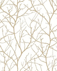 KRAVET DESIGN W4109 14 W4109-14 by   