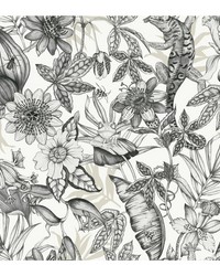 KRAVET DESIGN W4131 8 W4131-8 by   