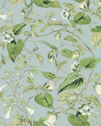 KRAVET DESIGN W4132 153 W4132-153 by   