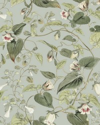 KRAVET DESIGN W4132 311 W4132-311 by   