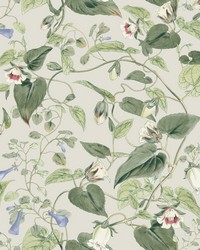 KRAVET DESIGN W4132 315 W4132-315 by   