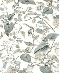 KRAVET DESIGN W4132 511 W4132-511 by   